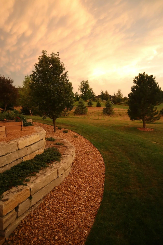 A neat yard in a sunset landscape